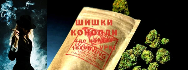 стаф Балахна