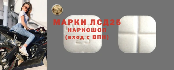 стаф Балахна