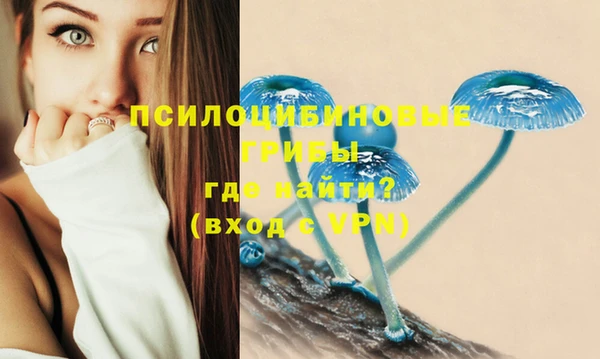 молекула духа Нефтекумск