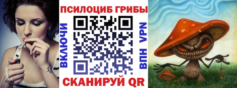 Псилоцибиновые грибы Cubensis  даркнет официальный сайт  Новозыбков 